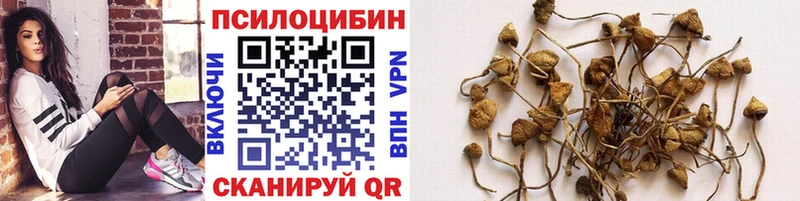Псилоцибиновые грибы Magic Shrooms  Усмань 